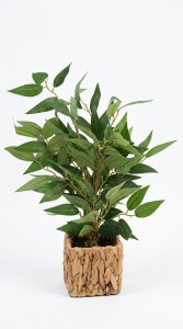 PLANTA MACETA FIBRA 35 cm.