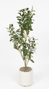 PLANTA MACETA PLASTICO BLANCO OLIVO 75CM.