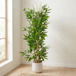 PLANTA MACETA BLANCA 1.80 mts.