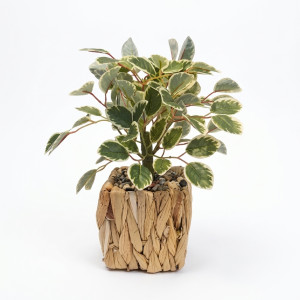 PLANTA MACETA FIBRA 30 cm.