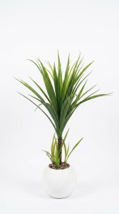 PLANTA MACETA PLASTICO BLANCO 70 cm.