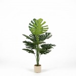 PLANTA MACETA PLASTICO 1.40 mts.