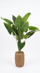 PLANTA MACETA FIBRA 1.00 mt.