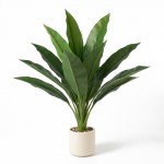 PLANTA MACETA PLASTICO 1.20 mts.