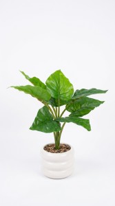 PLANTA MACETA CERAMICA BLANCA 30 cm.