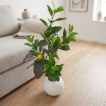 PLANTA MACETA BLANCA LIMON 70 cm.