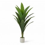 PLANTA MACETA PLASTICO 1.20 mts.