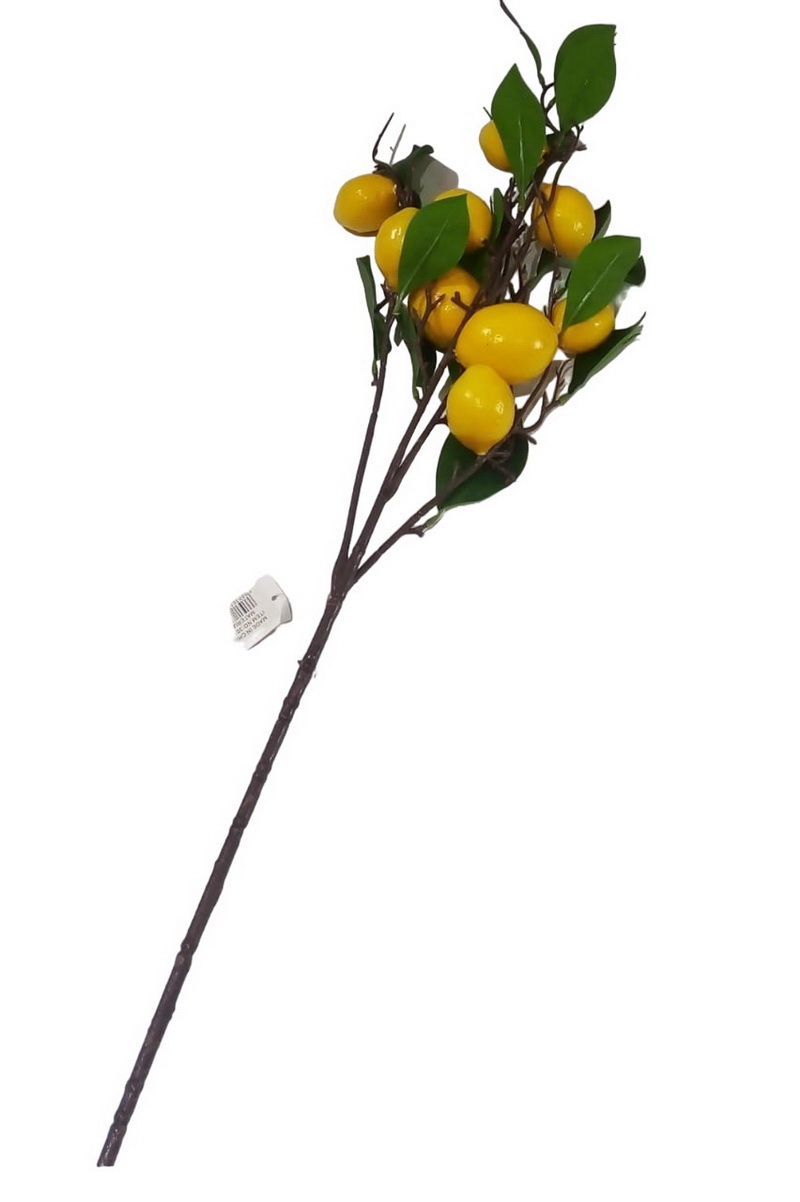 Imagen anterior del producto