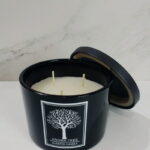 Imagen anterior del producto