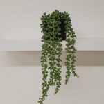 Imagen siguiente del producto