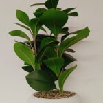 Imagen siguiente del producto