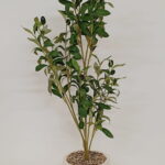 Imagen siguiente del producto