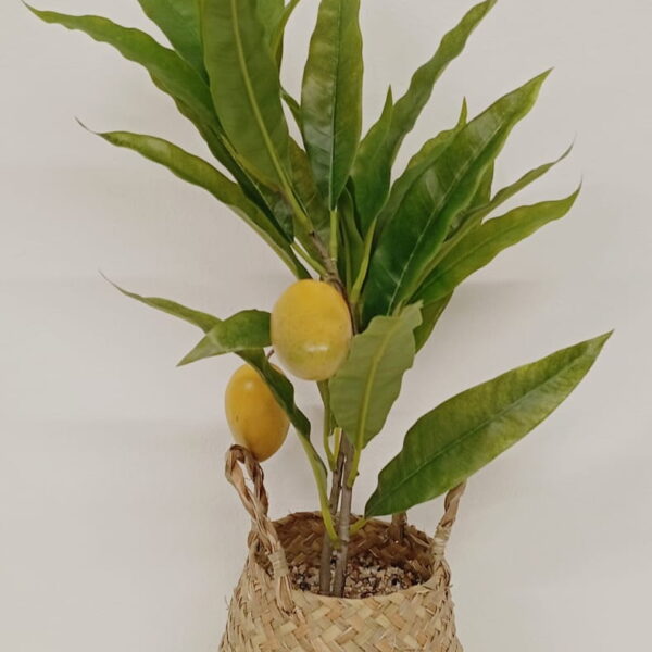 PLANTA ARTIFICIAL C/MACETA FIBRA 50 CM.