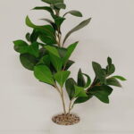 Imagen siguiente del producto