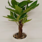 Imagen anterior del producto