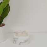 Imagen anterior del producto