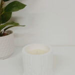 Imagen anterior del producto