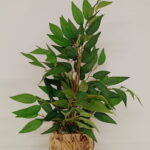 Imagen siguiente del producto