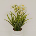 Imagen anterior del producto