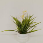 Imagen anterior del producto