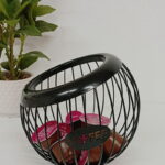 Imagen anterior del producto