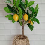 Imagen siguiente del producto