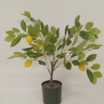 Imagen siguiente del producto