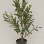 Imagen anterior del producto