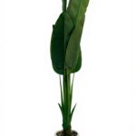 Imagen siguiente del producto