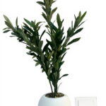 Imagen anterior del producto