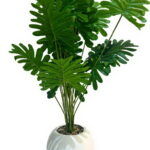 Imagen anterior del producto