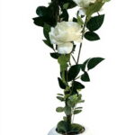 Imagen anterior del producto